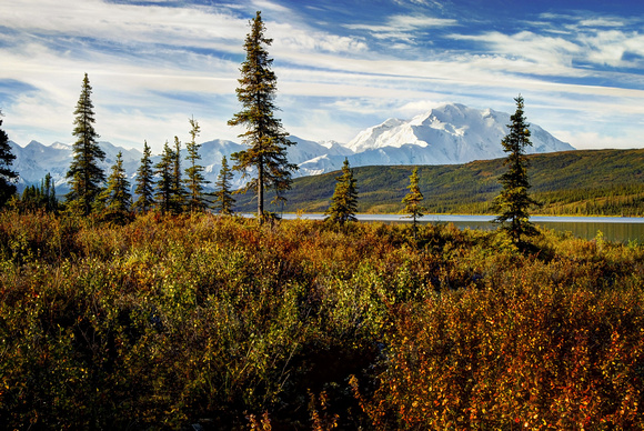 Denali Wonder Lake Alaska national park tundra