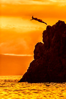 Cliff diving at sunset as seen from the Sheraton resort on Maui.