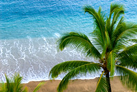 View of palm tree and Pacific ocean from Sands of Kahana condo in Maui, Hawaii.