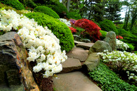 Japanese garden in Cleveland Botanical Gardens