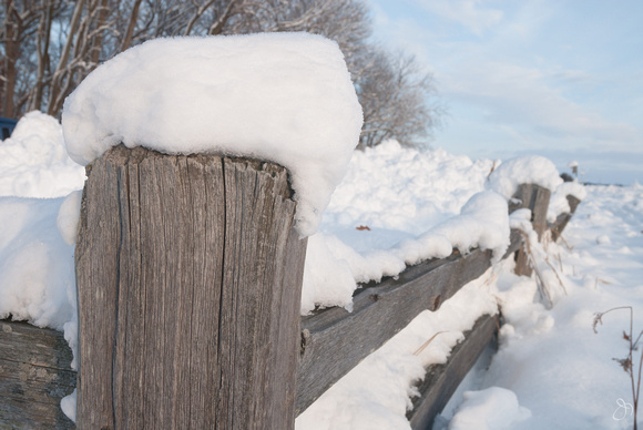 Wooden fencepost in snow, Horicon Marsh, WI by Joel Nisleit.