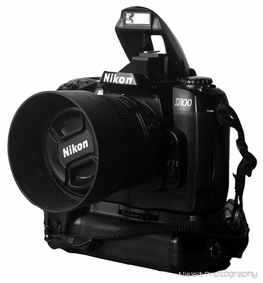 Nikon D100 built-in Speedlight.