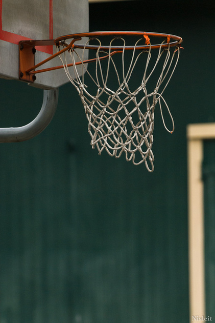 Basketball hoop in Horicon park.