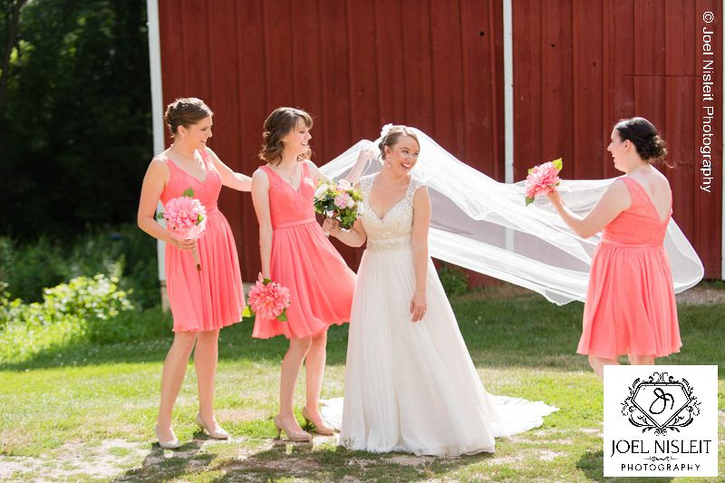 Bridesmaids veil dresses wedding milwaukee photographer