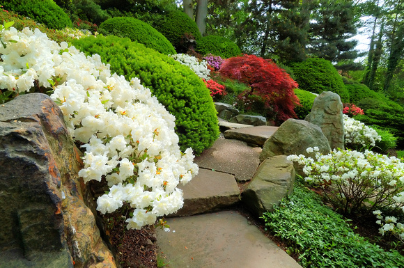 Japanese garden in Cleveland Botanical Gardens