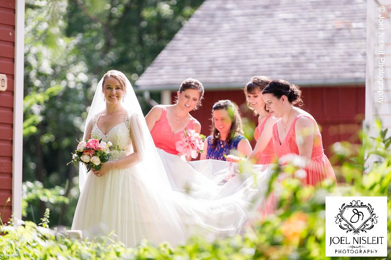 Bridesmaids veil dresses wedding milwaukee photographer